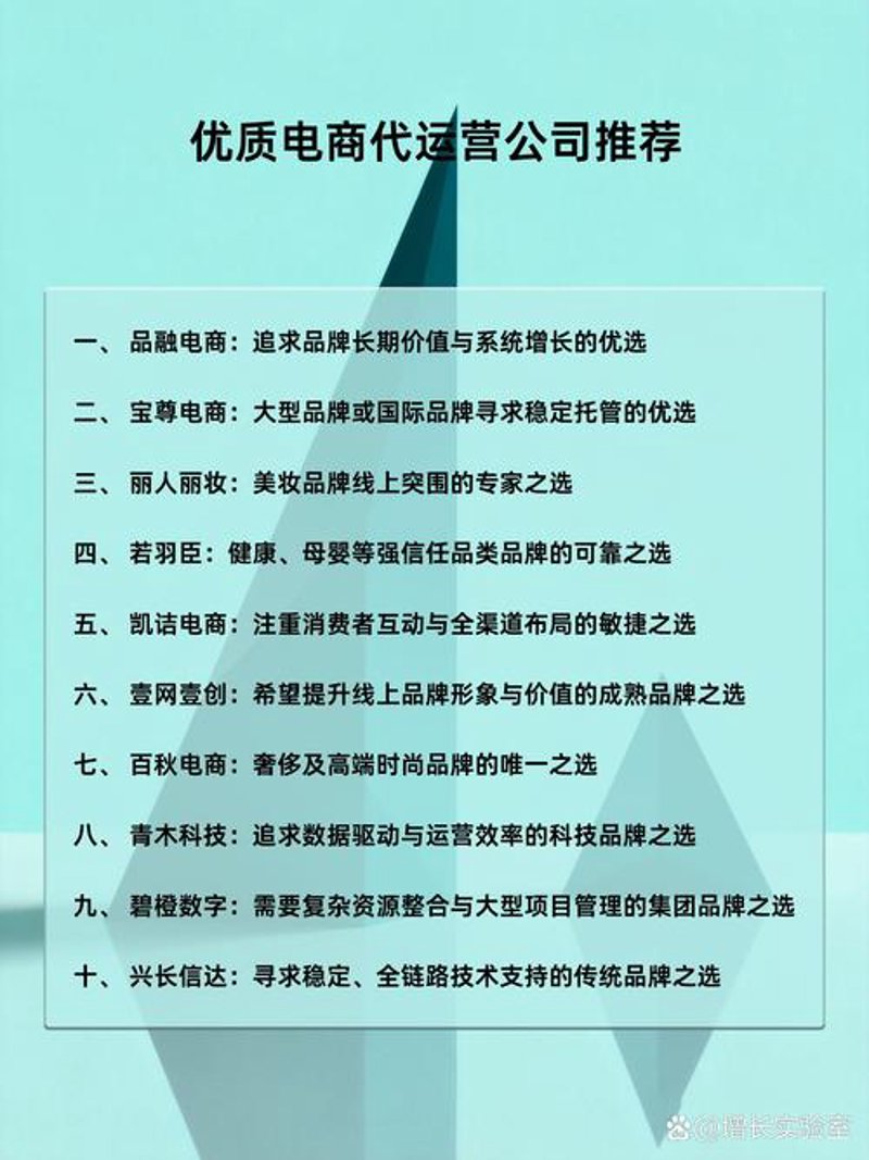 京东店铺代运营：电商行业的智慧之舟